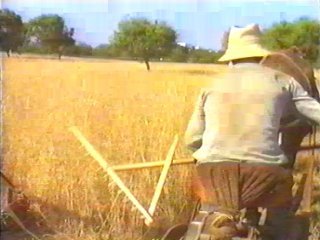 CAMPO - (49)  LABRANZA